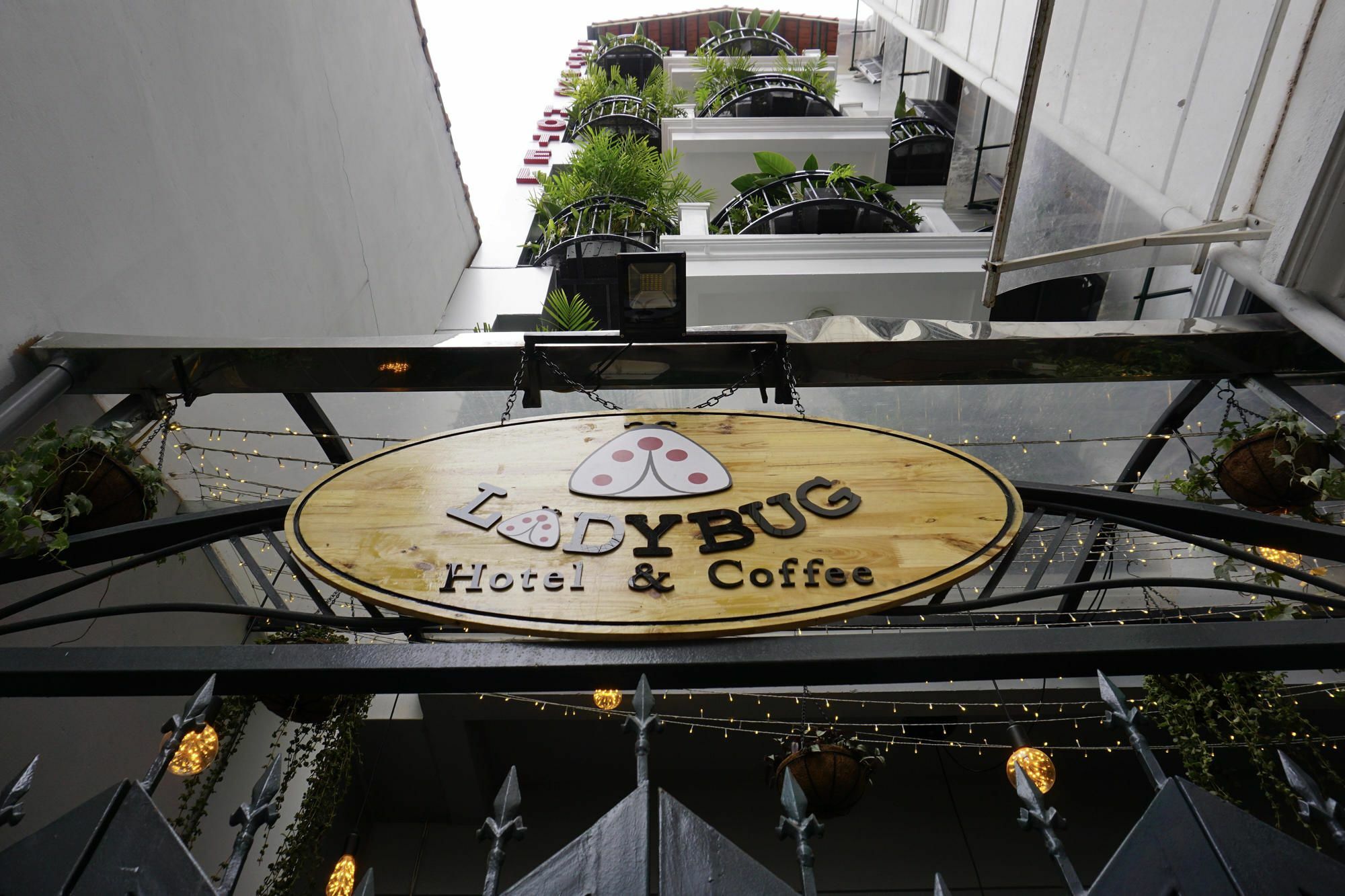 Ladybug Boutique Villa Hanoi Zewnętrze zdjęcie