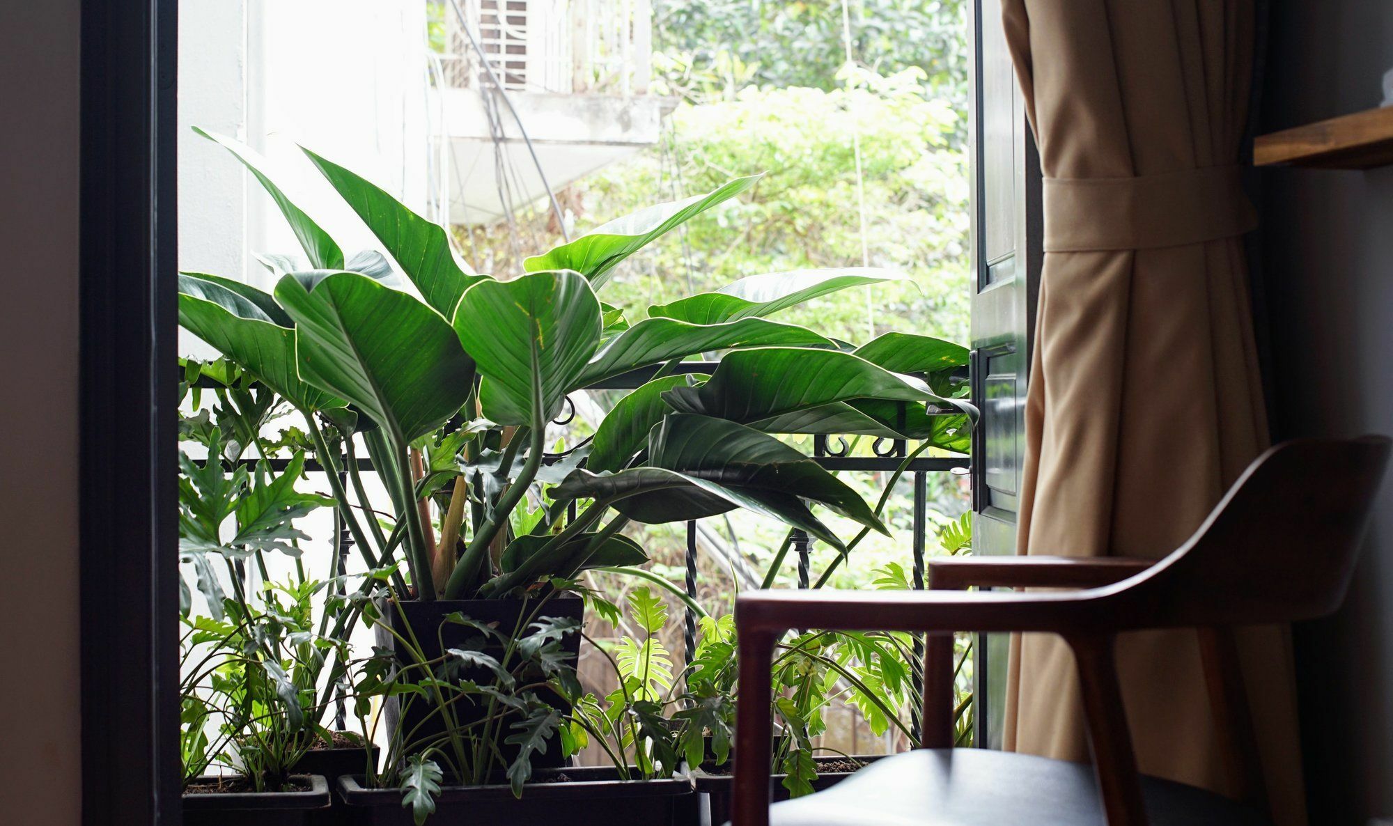 Ladybug Boutique Villa Hanoi Zewnętrze zdjęcie