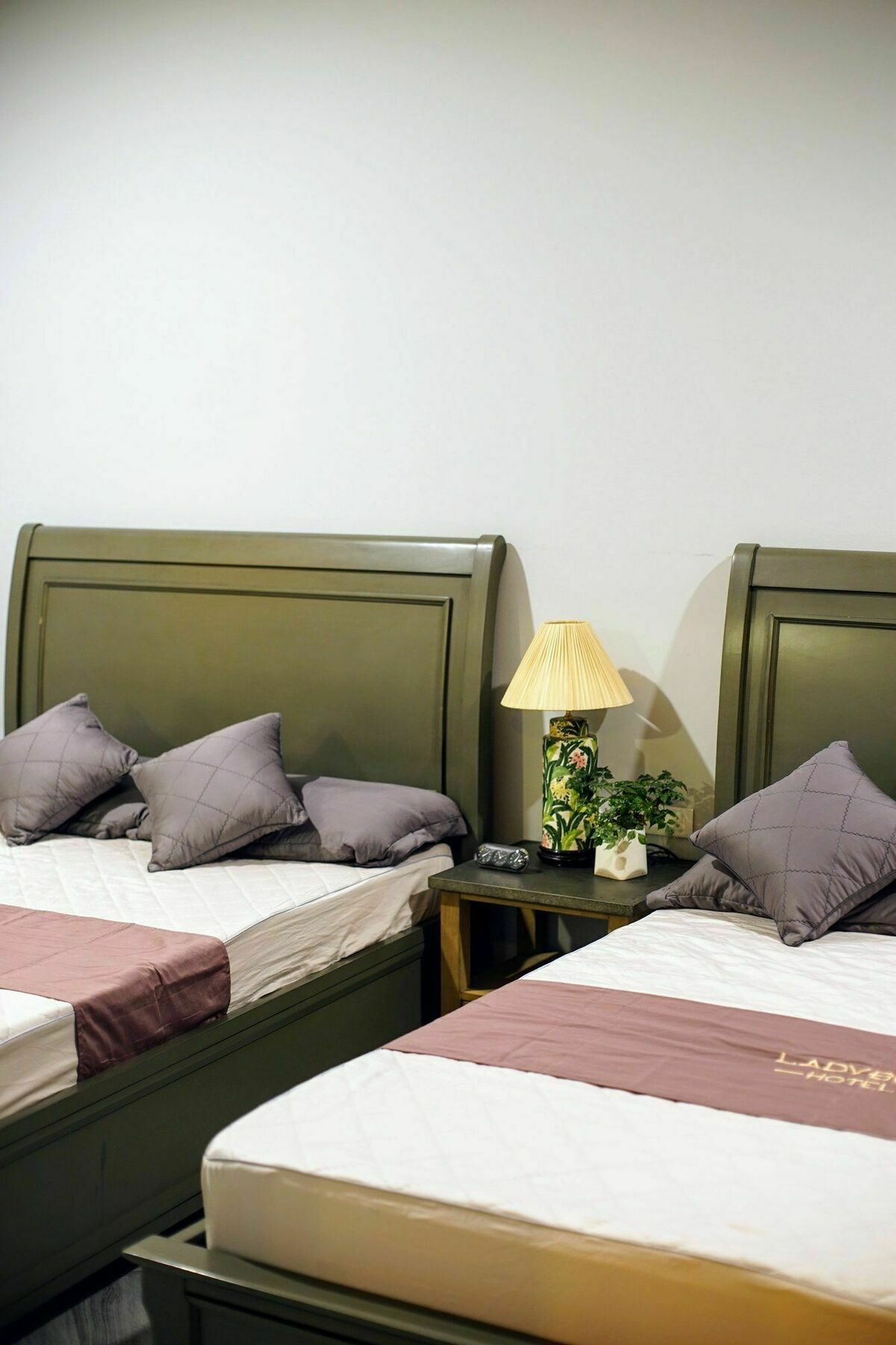Ladybug Boutique Villa Hanoi Zewnętrze zdjęcie