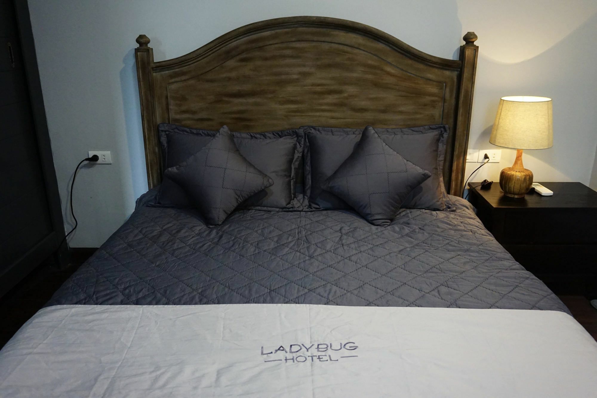 Ladybug Boutique Villa Hanoi Zewnętrze zdjęcie